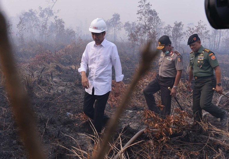 Jokowi Divonis Melawan Hukum, KLHK Tegaskan Komitmen Perangi Karhutla