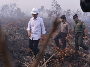 Presiden Beri Arahan ke Menteri Siti untuk Atasi Kebakaran Hutan