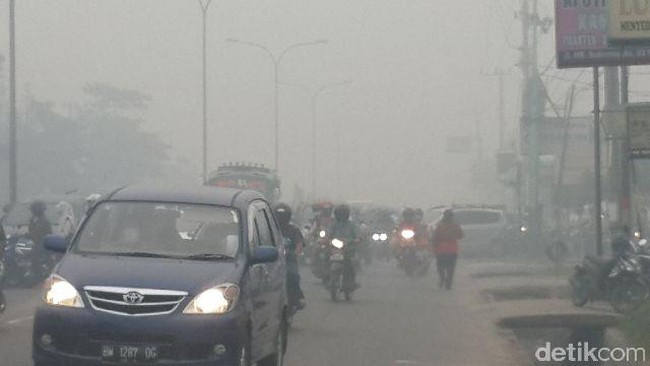 5 Pesan Kemenkes untuk Kurangi Dampak Asap Kebakaran Hutan Bagi Kesehatan