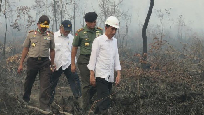 Perintah Jokowi: Padamkan Api, Hilangkan Asap Segera!