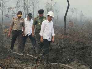 Kementerian Kehutanan dan Bareskrim Segel Lahan Terbakar di OKI Sumsel