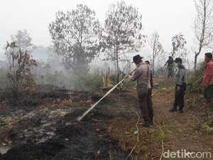 Selain Didenda Rp 366 Miliar, Aset Tanah Perusahan Pembakar Hutan Juga Disita