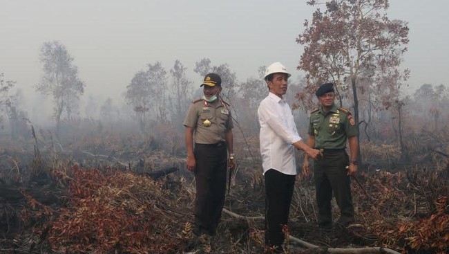 Ini Aksi Mengejutkan Jokowi: Menantang Asap hingga Panjat Menara
