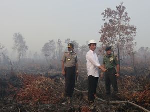Pasal Sakti Penjerat Pembakar Hutan Dihapus di Omnibus Law, Walhi: Konyol!