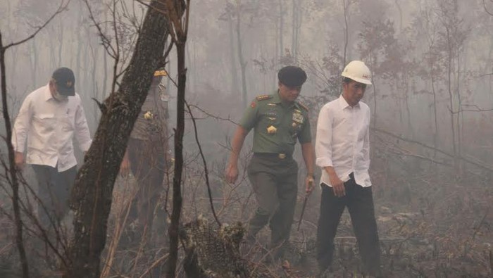 Jokowi: Kebakaran Hutan dan Lahan Turun Signifikan, Tapi Jangan Dibiarkan