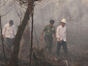 Jokowi: Kebakaran Hutan dan Lahan Turun Signifikan, Tapi Jangan Dibiarkan