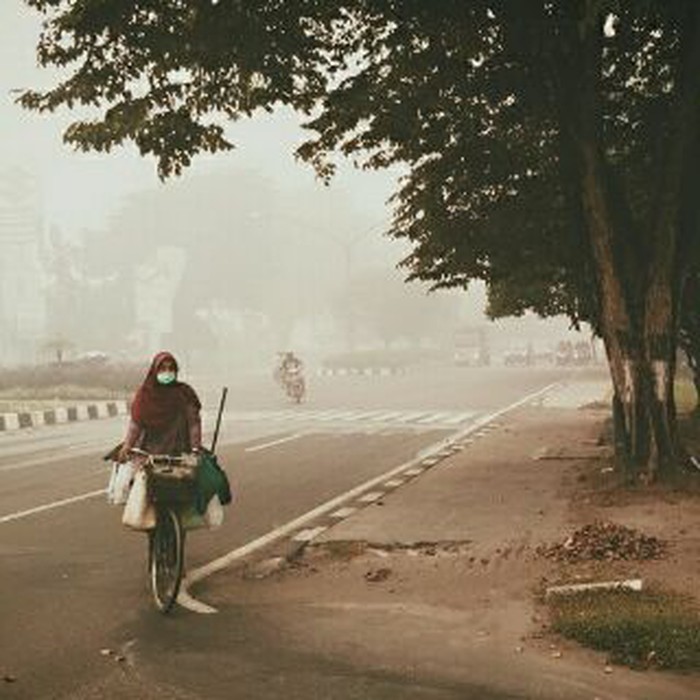 Ada 71 Titik Api di Kalteng, Penjabat Gubernur: Hari ini Asap Berkurang