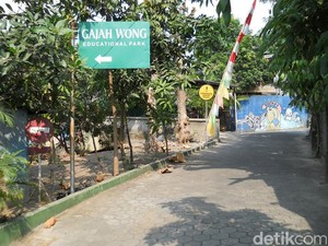 Komunitas Kampung Hijau Gambiran, Menyulap Area Banjir Jadi Taman Kota