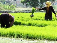 Gaji Kades Bakal Naik Hingga Rp 3,8 Juta di Januari 2020