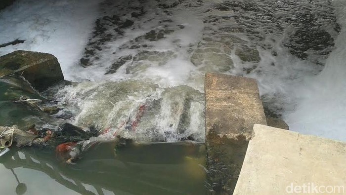 Begini Penampakan Buih Putih di Sungai di Kawasan Bintaro