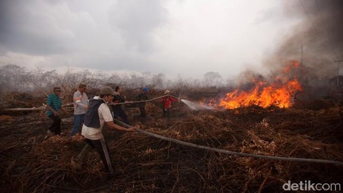 Bicara soal Asap, Begini Pencegahan Kebakaran Lahan Ala PT RAPP