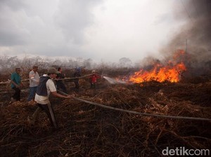 Bicara soal Asap, Begini Pencegahan Kebakaran Lahan Ala PT RAPP