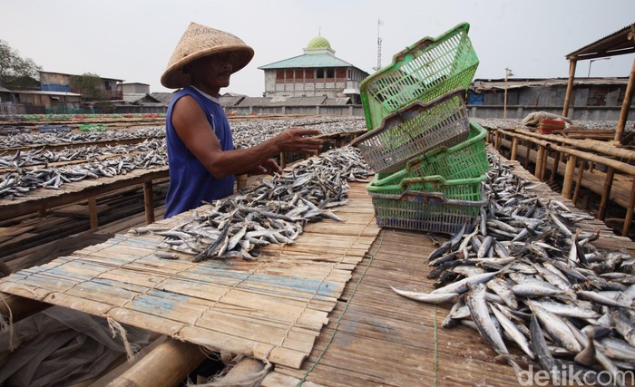 OJK Ingin BPR Bisa Salurkan KUR