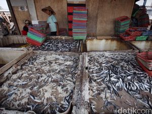 Ini 12 Bank dan LKBB Penyalur KUR Baru