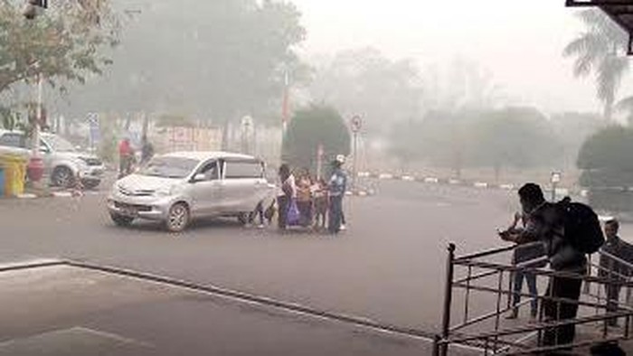 Jumlah Titik Api di Kalteng Berkurang, 13.949 Warga Kena ISPA