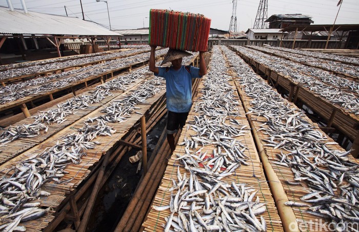 Ini 12 Bank dan LKBB Penyalur KUR Baru