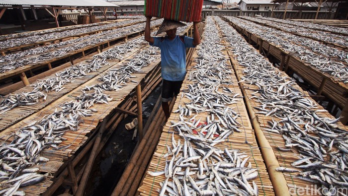 Penyaluran KUR hingga Agustus Capai Rp 87,5 T