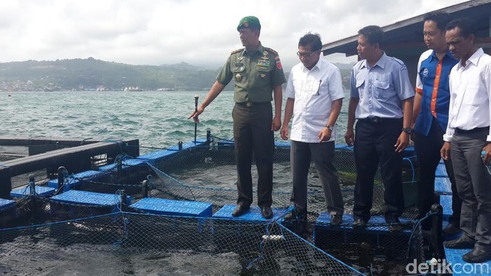 Prajurit TNI di Ambon Latih Warga Budidaya Hasil Laut
