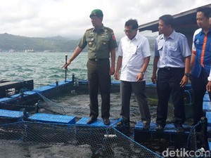 Prajurit TNI di Ambon Latih Warga Budidaya Hasil Laut