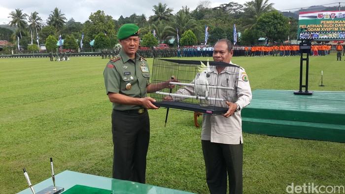 Jempol! Pangdam Pattimura Bantu Selamatkan Satwa Langka di Maluku