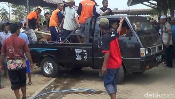 Sapi Brangus Mendadak Mati Saat Ikut Kontes