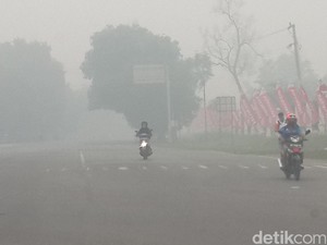 Kepala BNPB: Kebakaran Lahan Meliputi Area yang Luas, Pemadaman Sulit