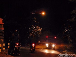 Hutan Jati di Banyumas Terbakar