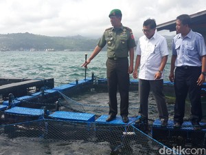 Cara Kodam Pattimura Jaga Daerah Rawan Sambil Kembangkan Emas Biru