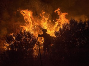 Lebih dari 1.400 Rumah Hangus Akibat Kebakaran Hutan di California