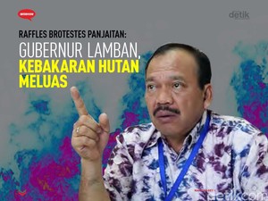 Raffles Brotestes Panjaitan: Gubernur Lamban, Kebakaran Hutan Meluas