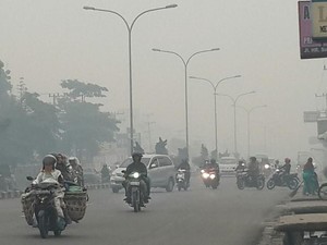 Polda Riau Tangkap Petinggi Perusahaan Pembakar Lahan