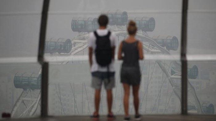 Dubes Singapura: Kami tak akan Lindungi Perusahaan Pembakar Hutan