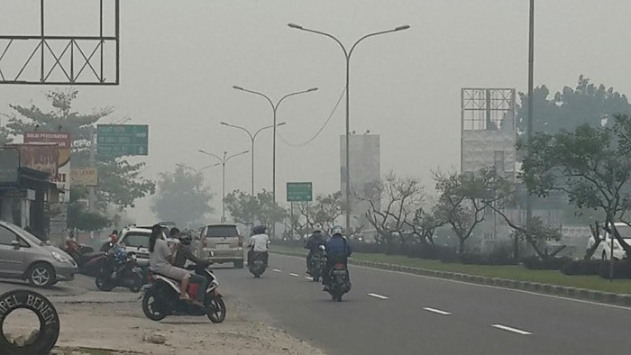 Tak Ada Titik Api, Salah Satu Alasan Walkot Pekanbaru Tetap Kunker ke Cina
