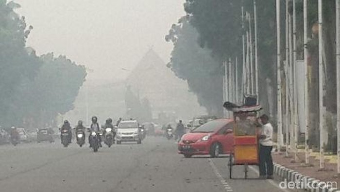 Akibat Kabut Asap, Penderita ISPA di Riau Meningkat 5%