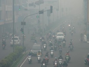 BNPB: 3 Provinsi Beri Status Tanggap Darurat Asap, 3 Lainnya Masih Ditunggu