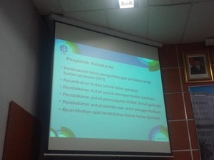 Cerita Profesor LIPI yang Sudah Teliti Soal Kebakaran Hutan Tapi Dicuekin