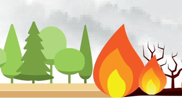 BNPB: Jumlah Hotspot Berkurang Tapi Jarak Pandang Masih Buruk