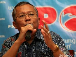 Timses Jokowi Disebut Ber-IQ 80, PPP Minta Mardani Tes IQ