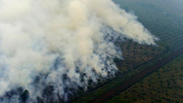 KABUT ASAP KARHUTLA LINTASI BATAS NEGARA, MALAYSIA TUTUP SEKOLAH DAN SINGAPURA NYALAKAN STATUS SIAGA