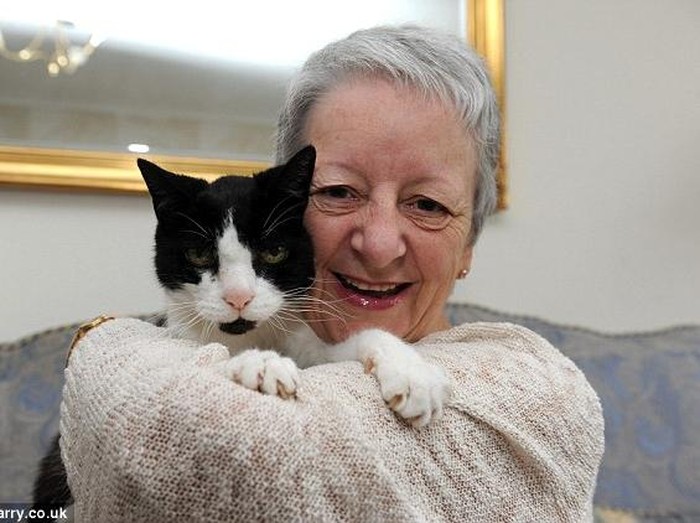 Kisah Sue, Kankernya Diketahui karena Tingkah Kucing Peliharaan