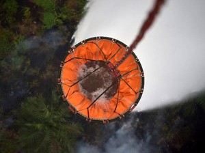 Bantuan Malaysia Siap Tangani Kebakaran Hutan Indonesia, Singapura Ditunda