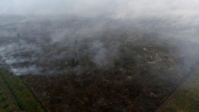 Kiriman Asap dari Sumatera Telah Mencapai Phuket Thailand