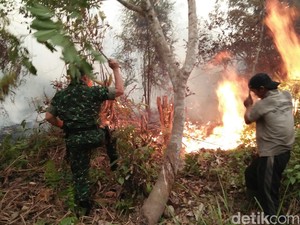 Duh! Hotspot Juga Muncul di Sulawesi, Papua dan Maluku