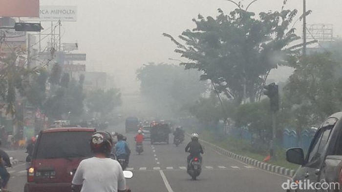 Ini Usul DPR soal Sanksi untuk Korporasi Pembakar Hutan agar Jera