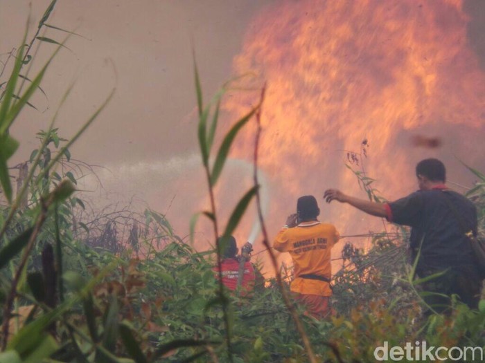 Kobaran Api Besar Seperti ini yang Sebabkan Kalteng Masih Dikepung Asap