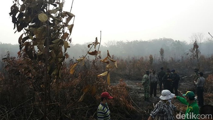 APHI: Anggota Kami yang Rugi Setiap Kebakaran Lahan