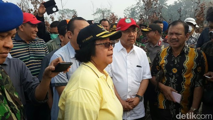2 Perusahaan yang Lahannya Terbakar Sudah Dicabut Izin dan Diproses Polisi