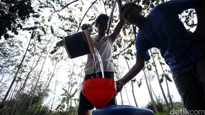Warga mengambil air disalah satu mata air yang tersisa di desa Cijayanti, Babakan Madang, Kabupaten Bogor untuk beragam keperluan seperti mandi, mencuci dan bahkan untuk minum sehari-hari. Musim kemarau panjang tahun ini membuat beberapa daerah kekeringan hingga susah mendapatkan air bersih. Salah satunya juga wilayah Bogor yang dikenal dengan kota hujan kini mengalami kekeringan parah. Warga desa Cijayanti hampir semuanya mengambil air dari mata air yang melintasi aliran kali Cibarengkok dekat penjarahan yang masih sedikit tersisa. Rachman Haryanto/detikcom.