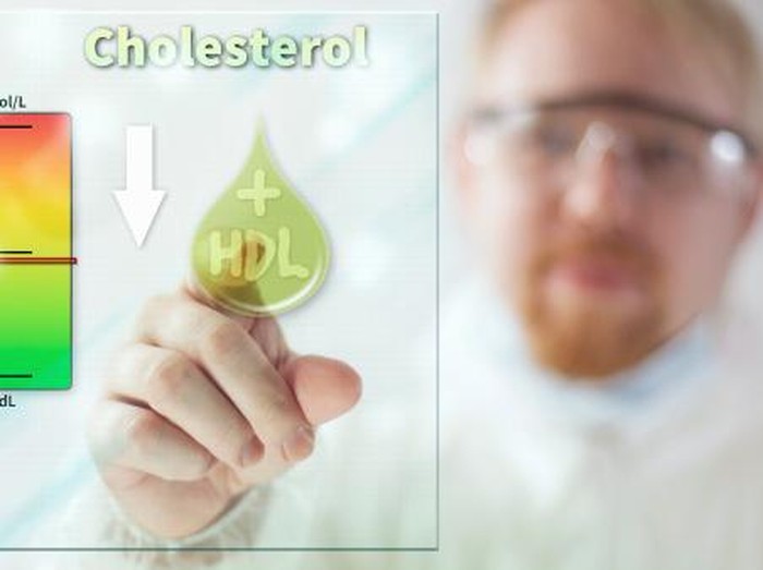Kolesterol Baik dan Kolesterol Jahat, Bagaimana Bedanya?