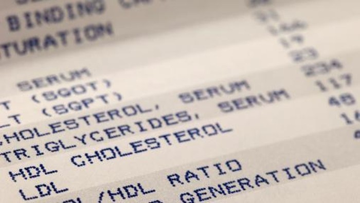 kolesterol Lowering Cholersterol